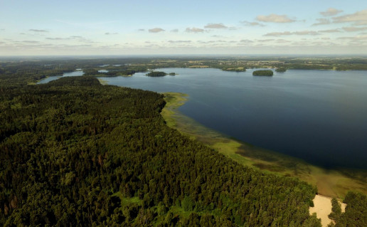 46_Plateliu ez is rytines puses. G.Norvaiso n.jpg